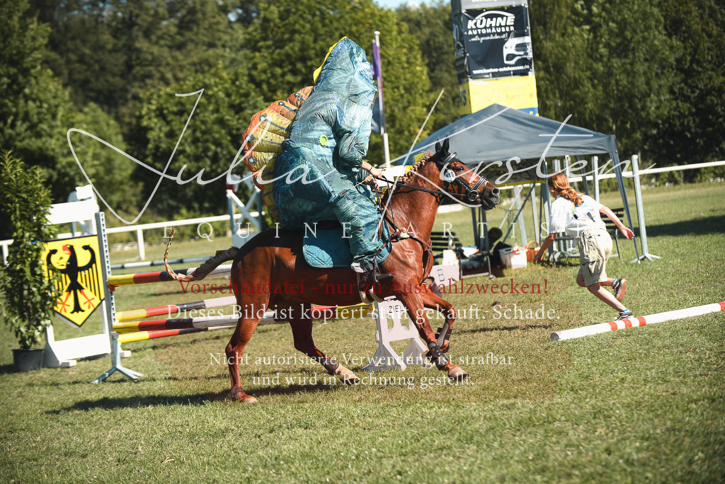 DSC_7656 | Pferde- und Turnierfotografie in Westsachsen. Pferdeportraits, Auftragszeichnungen und intuitive Kunst.