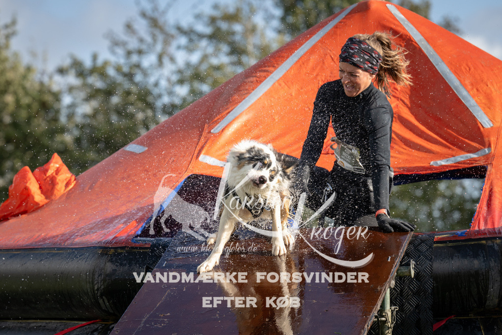 1431-94402 | kk-dogfotos