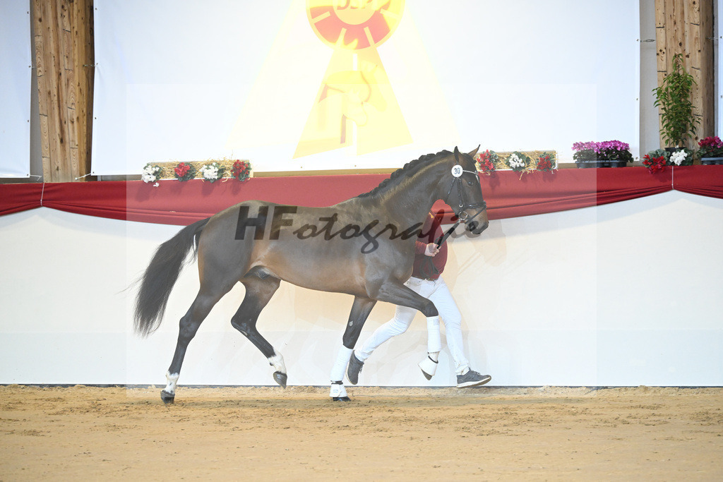 Kat-Nr. 30 Opium v d Moerhoeve_Keppel_1231206 | hf-fotografie - Realizzato con Pictrs.com