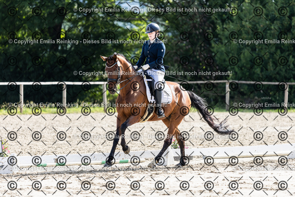 CL5A5656 | Emilia Reinking Fotografie - Realisiert mit Pictrs.com