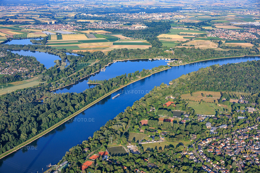 Luftbild: Kiefweiher/Kiefscher Weiher am RHein Rhein im Ortsteil Rheingönheim in Ludwigshafen im Bundesland Rheinland-Pfalz in Deutschland. – Foto: IMG_157227.jpg vom 18.06.2026 durch Werner Riehm/FLY-FOTO.de – Auflösung des Originals: 6000 x 4000 px