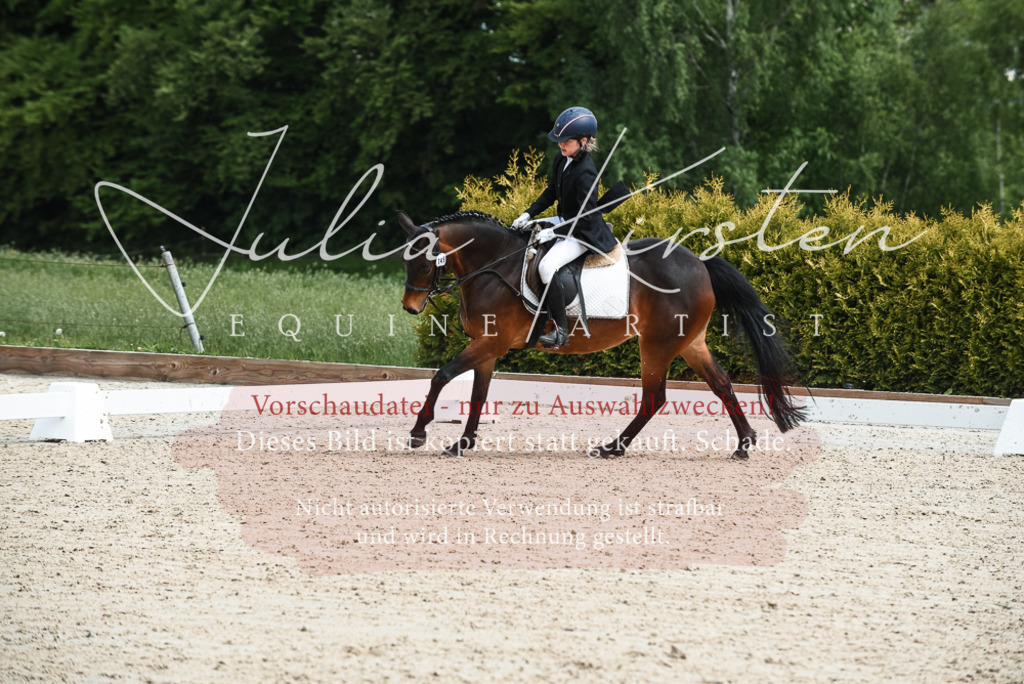 20230518_JK-Röhrsdorf-11-0191 | Pferde- und Turnierfotografie in Westsachsen. Pferdeportraits, Auftragszeichnungen und intuitive Kunst.