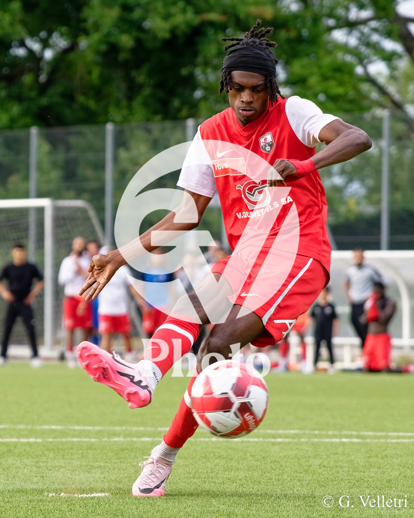 DSC_9587 | Velletri Photo