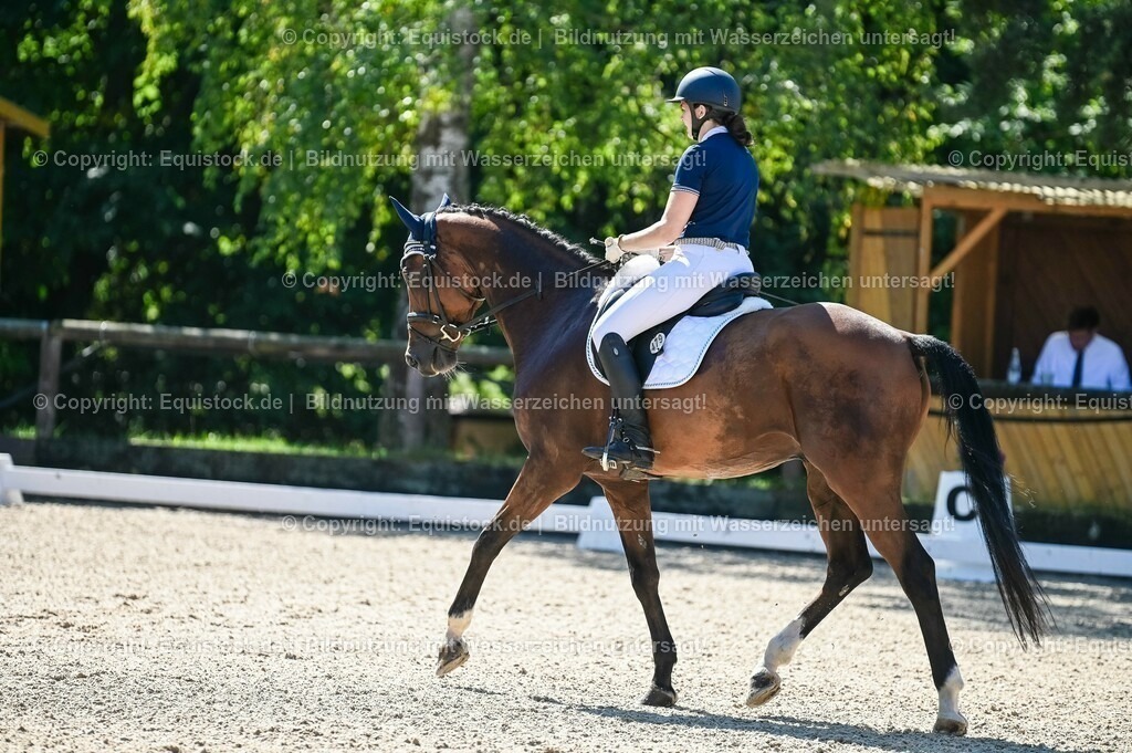 20230908_06_Dressur-L-Trense_0228 | equistock