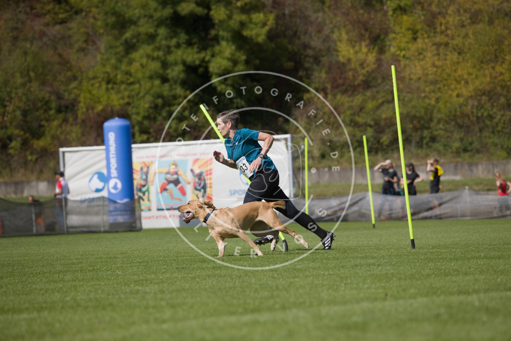 0L8A2950 | Hundefotografie, Tierfotograf, Pfotenfotografie, Fotoshooting Hund, Hunde Portrait, Hundesport, Hundeportraits, Heideshooting, Hunde, Sportfotograf, Hundefotograf, Turnierhundsport, THS,  - Realisiert mit Pictrs.com