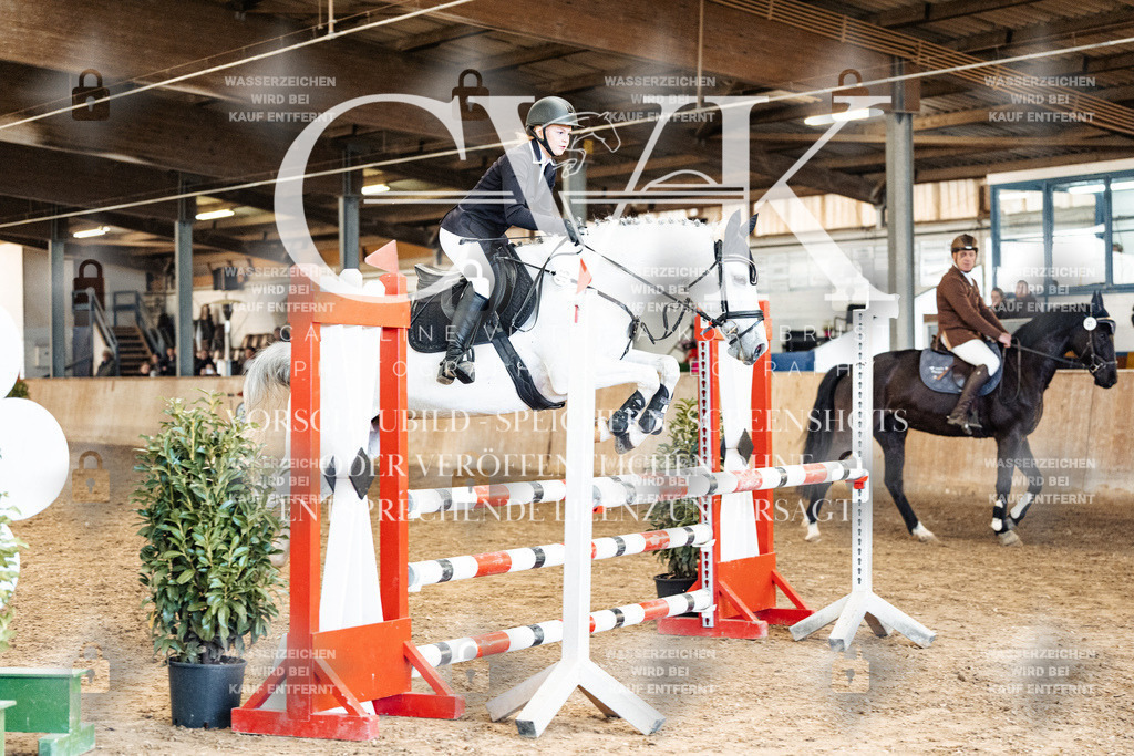 CK905299 | Turnierfotografie Pferdefotografie Trier Rheinland-Pfalz Pferdesport Reitsport Tierfotografie Sportfotografie Pferdevideo Pferdevideografie Equestrianvideography equestrianphotography  - Realized with Pictrs.com