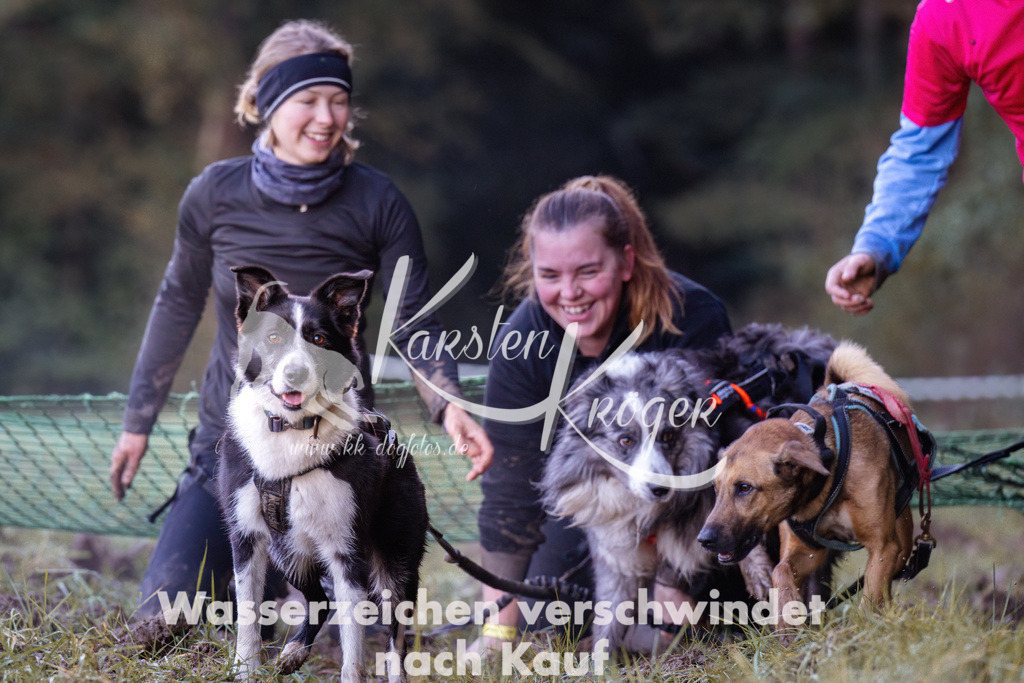 0843_ZZ90741 | kk-dogfotos
