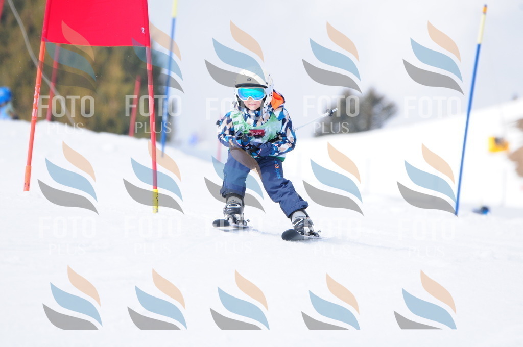 A3727 | holidayphoto