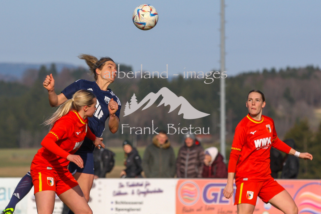 993T6111 | Karin Friedrich, Kopfball