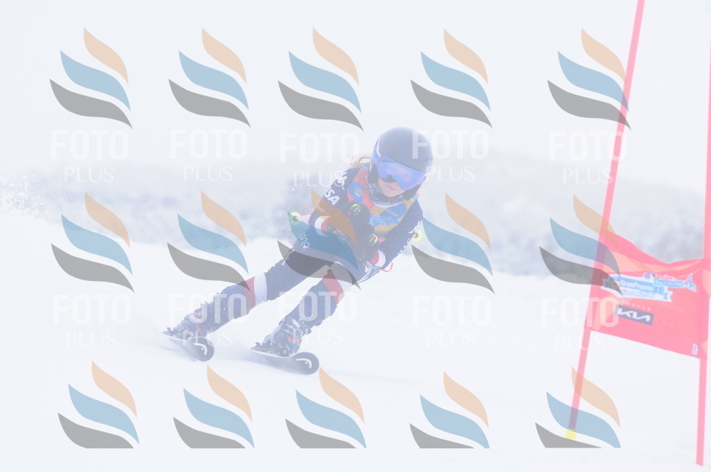 C2750 | holidayphoto