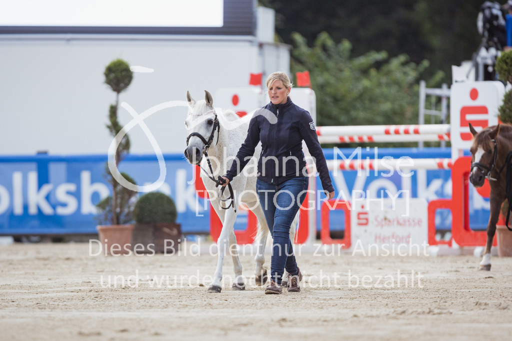 220729_BHO_BestBuddy-801 | Deine schönsten Turniermomente als professionelle Fotos! Entdecke hochwertige Pferdesport-Fotografie im Online-Shop. Jetzt Fotos finden & bestellen!