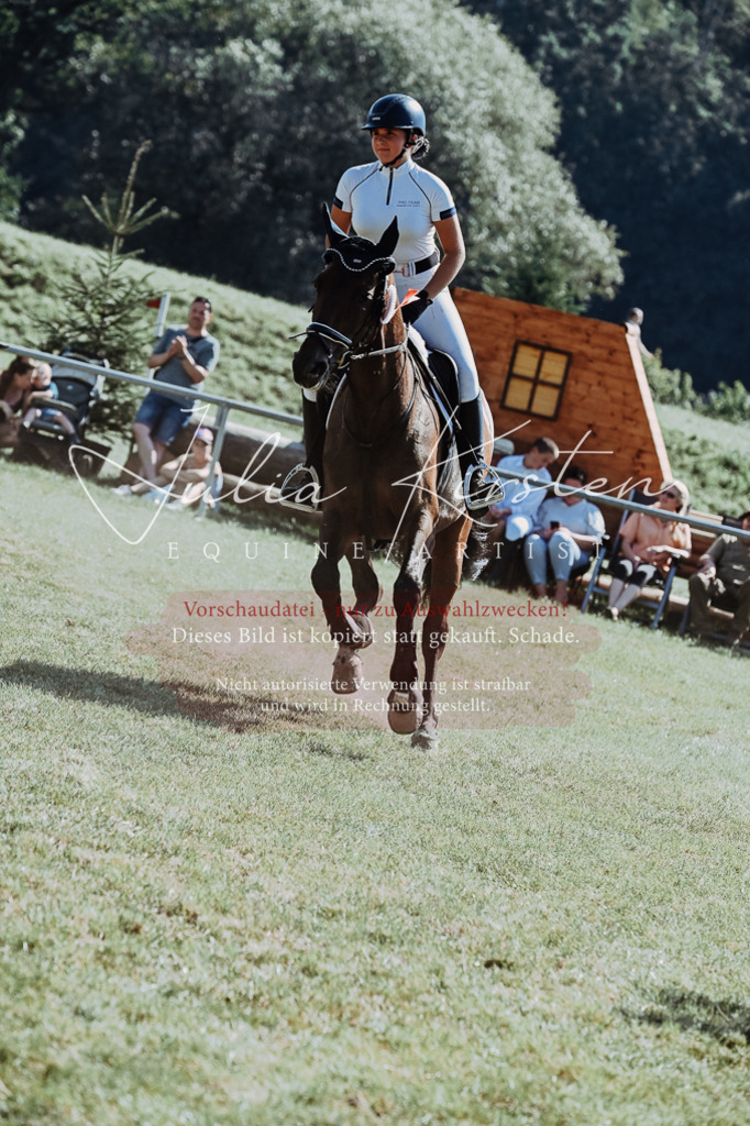 DSC_6232 | Pferde- und Turnierfotografie in Westsachsen. Pferdeportraits, Auftragszeichnungen und intuitive Kunst.