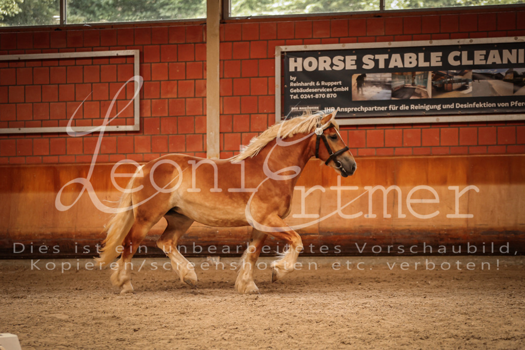 SaFL00250 | Leoni Ertmer Photography - Realisiert mit Pictrs.com