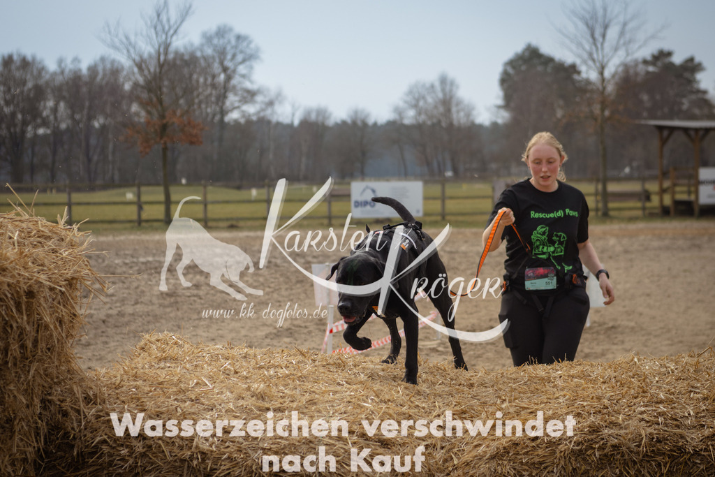 1225_ZZ95671 | kk-dogfotos