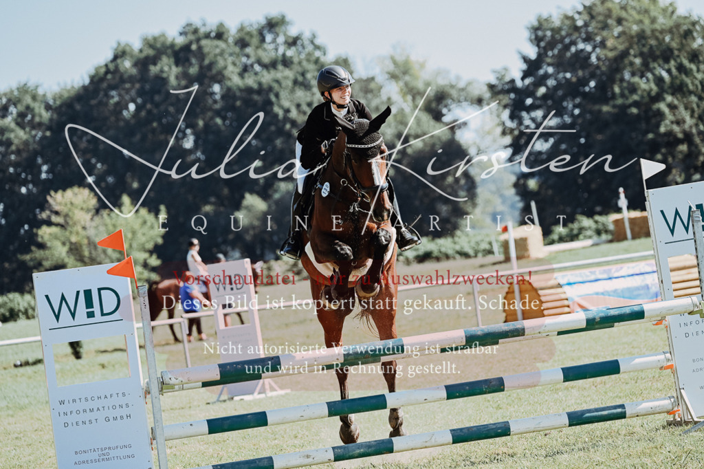 DSC_5826 | Pferde- und Turnierfotografie in Westsachsen. Pferdeportraits, Auftragszeichnungen und intuitive Kunst.