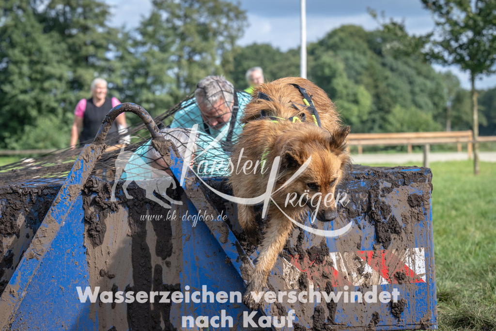 1445_ZZ93416 | kk-dogfotos