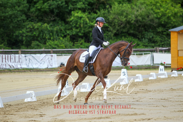 DKP46165 | Turniersportfotografie; Pferdefotografie; Dressurfotografie