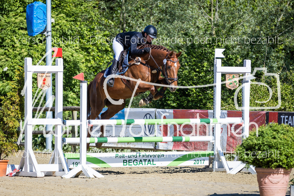 Donop24-A2Spr-005 | MomenTaufnahmen Pferdesportfotos