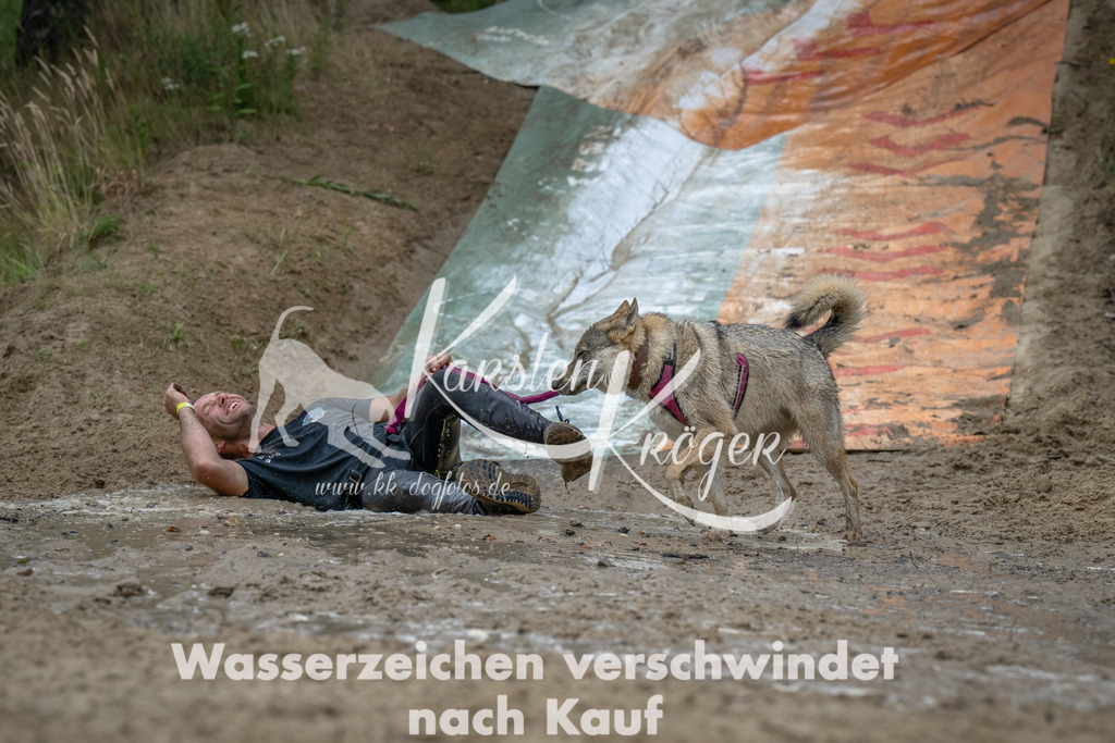 1649_ZZ90502-Bearbeitet | kk-dogfotos