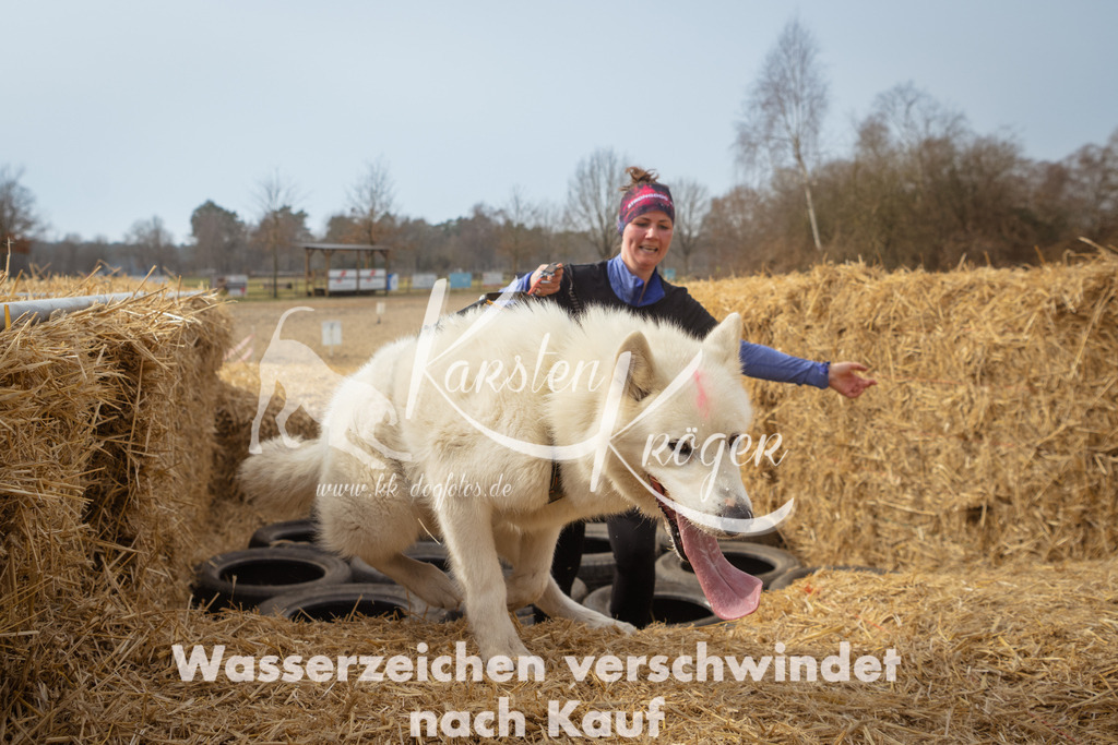 1123_ZZ93362 | kk-dogfotos