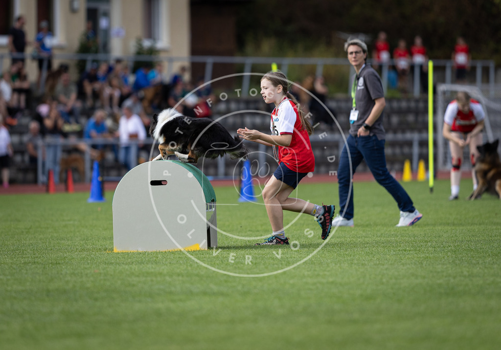 Pfotenfotografie_DV3A1301 | Hundefotografie, Tierfotograf, Pfotenfotografie, Fotoshooting Hund, Hunde Portrait, Hundesport, Hundeportraits, Heideshooting, Hunde, Sportfotograf, Hundefotograf, Turnierhundsport, THS,  - Realisiert mit Pictrs.com
