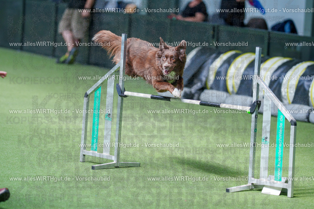 @allesWIRTHgut_Tierfotografie - www.allesWIRTHgut.de - 2604261355-7R502967 | Professionelle Tierfotografie in Mönchengladbach von Daniel Wirth (allesWIRTHgut). Liebevolle & natürliche Bilder von Hunden & Katzen für unvergessliche Erinnerungen.