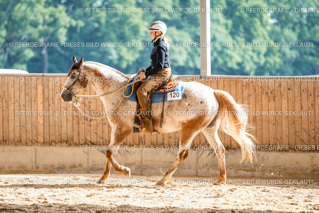 DSC08611 | Pferdegrafie