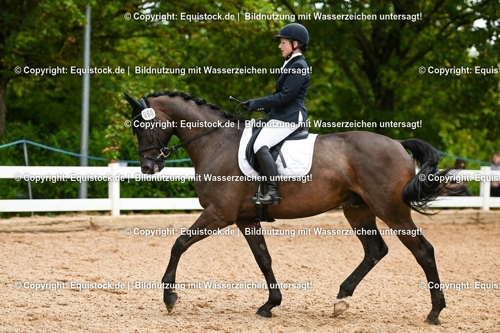 20230716_03_Dressurprfg. Kl.L - Tr._0344 | equistock