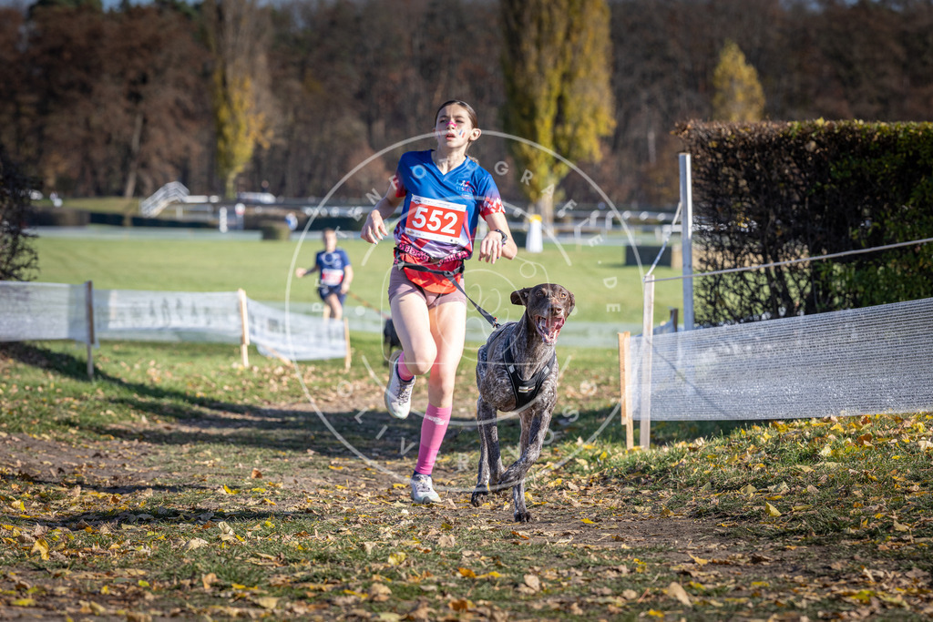 CaniXpix_DV3A8513 | Hundefotografie, Tierfotograf, Pfotenfotografie, Fotoshooting Hund, Hunde Portrait, Hundesport, Hundeportraits, Heideshooting, Hunde, Sportfotograf, Hundefotograf, Turnierhundsport, THS,  - Realisiert mit Pictrs.com