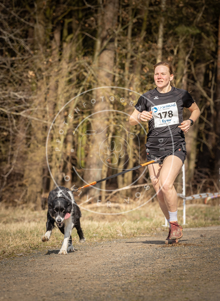 DV3A5709 | Hundefotografie, Tierfotograf, Pfotenfotografie, Fotoshooting Hund, Hunde Portrait, Hundesport, Hundeportraits, Heideshooting, Hunde, Sportfotograf, Hundefotograf, Turnierhundsport, THS,  - Realisiert mit Pictrs.com