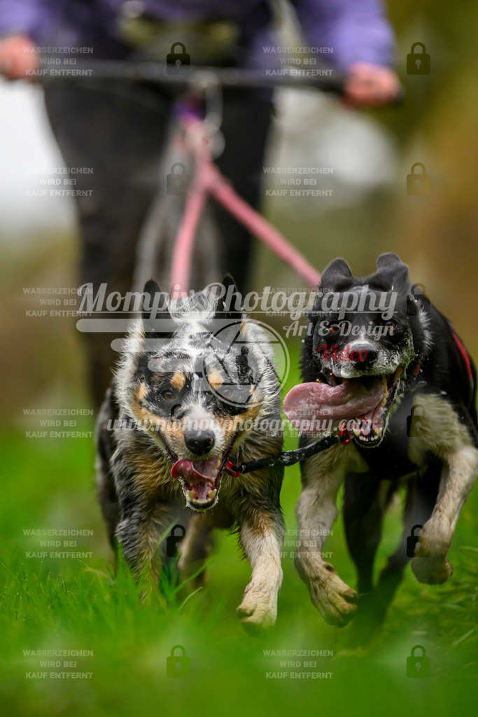 MompixPhotography_20TSB_E8_DS2-20 | PayLife