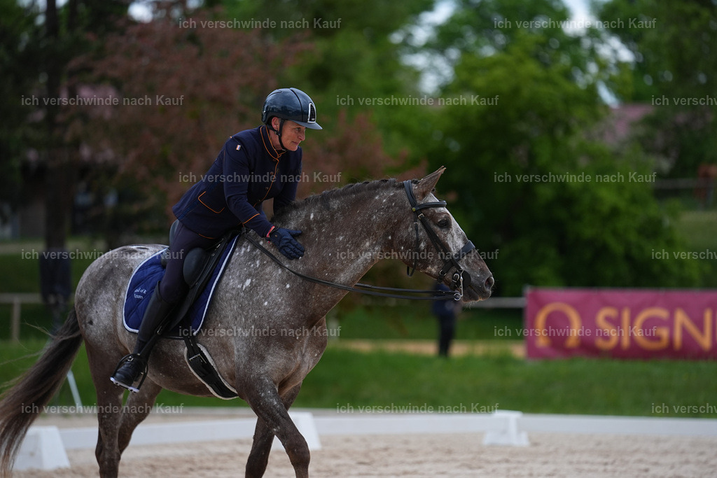 PI26_DR_280_StoibphotographySIN06390.jpg | working equitationturnier fotograf videograf stoibphotography marixx film working equitation deutschland reitsport turnierfotografie eventfotografie equestrian events
