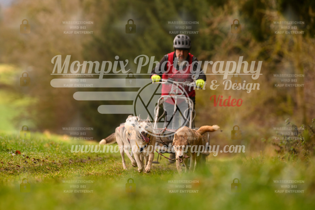 MompixPhotography_2SSTSSBW_2025_SO_Kart-21 | PayLife