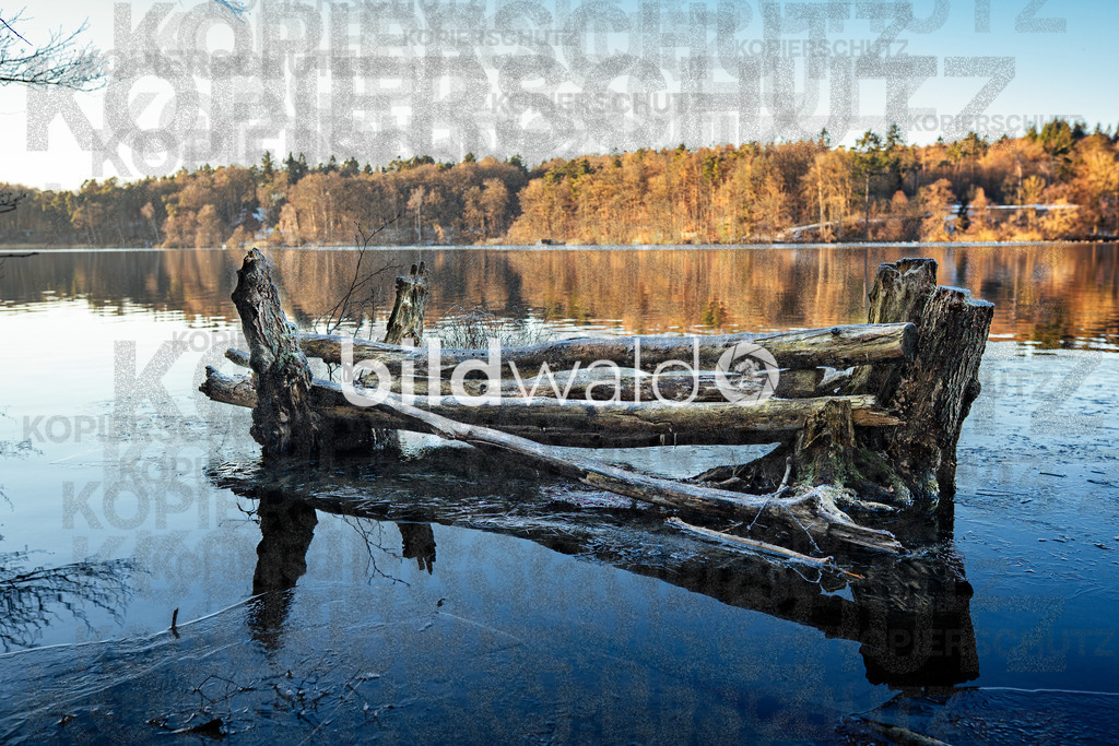 _A7_8089 | BILDWALD - eine Auswahl an Bildern von Thomas Perrotton zum bestellen und genießen. Alle Bilder von Thomas Perrotton - Alle Bilder mit einer SONY Kamera gemacht - SONY TAMRON SIGMA PHOTOSHOP LIGHTROOM BILDWALD Online kaufen Bilderwald Wandbilder - Realisiert mit Pictrs.com