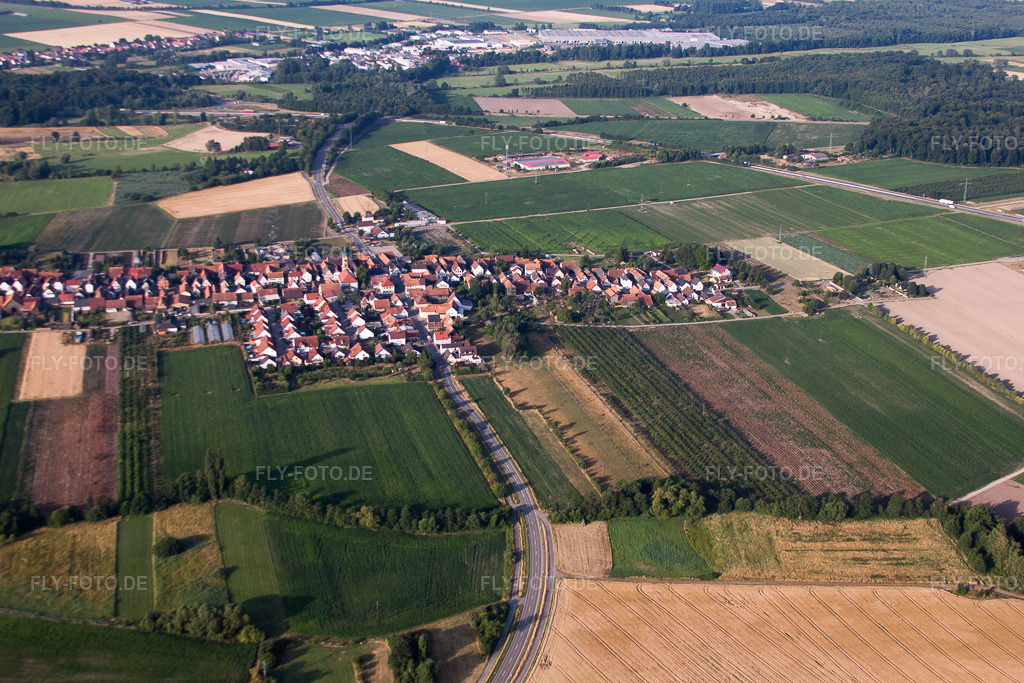 Luftbild: Ortsansicht von Norden in Erlenbach bei Kandel im Bundesland Rheinland-Pfalz in Deutschland. Foto: IMG_69754.jpg vom 04.07.2014 durch Werner Riehm/FLY-FOTO.de