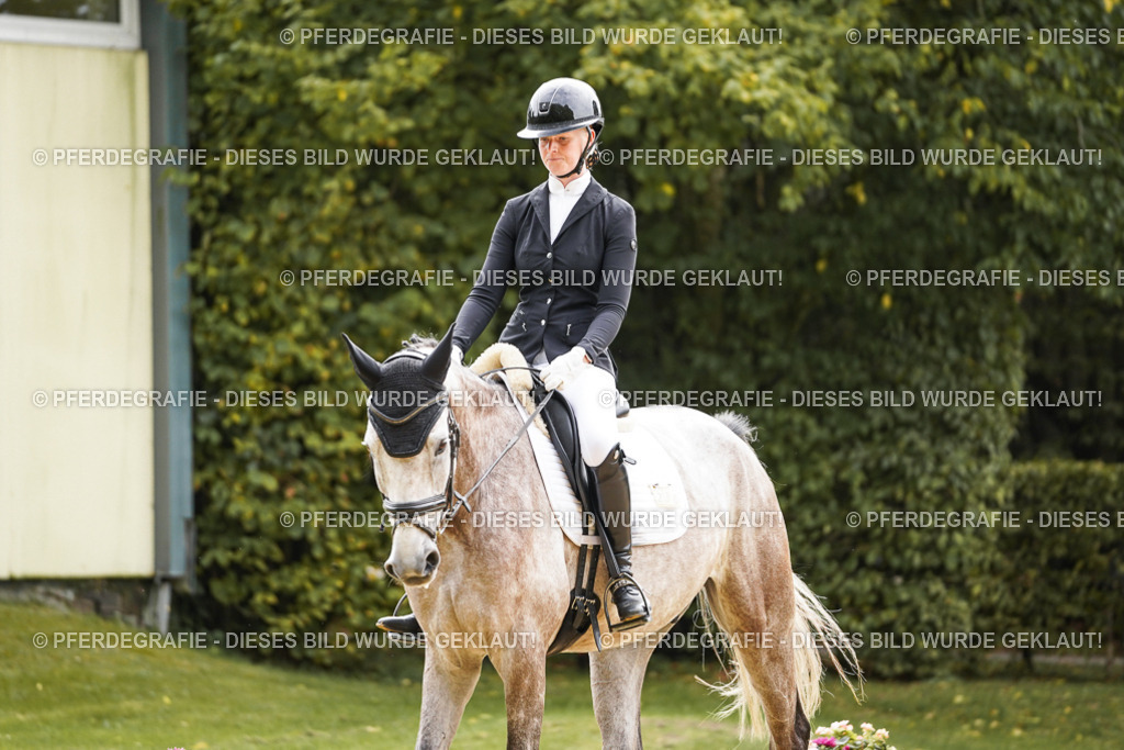 DSC01424 | Pferdegrafie