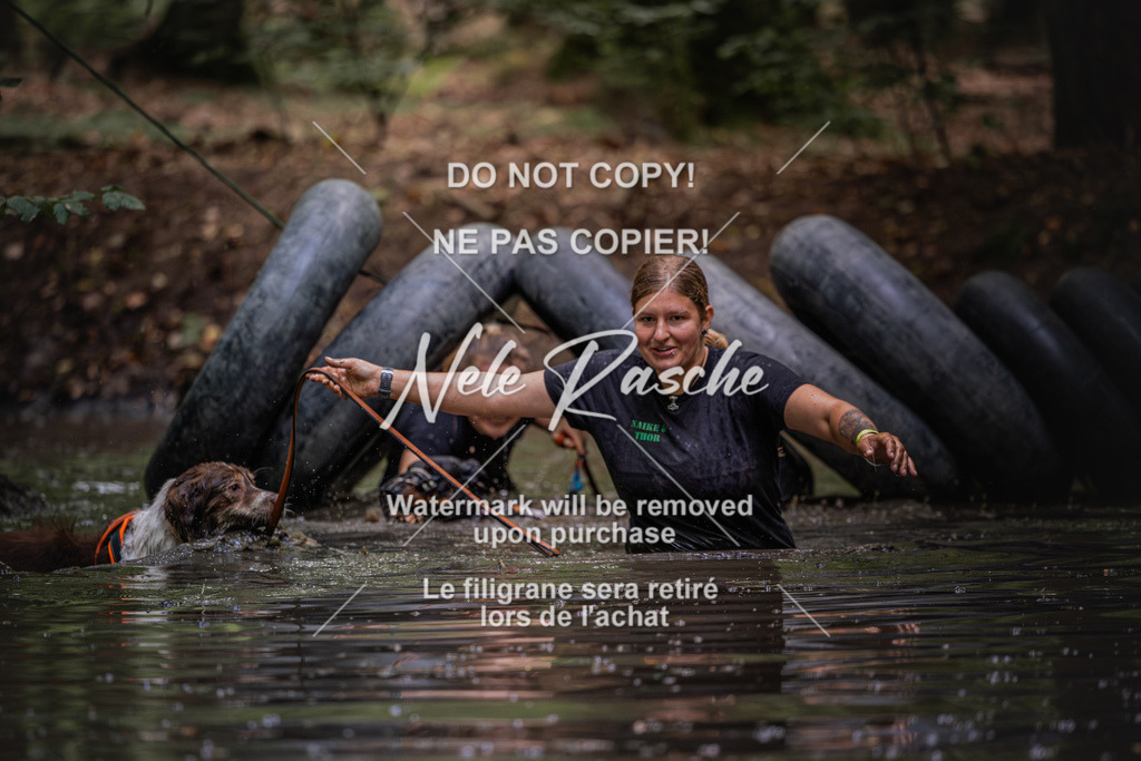 nelerasche_SaWingst1400-1500_05 | nelerasche