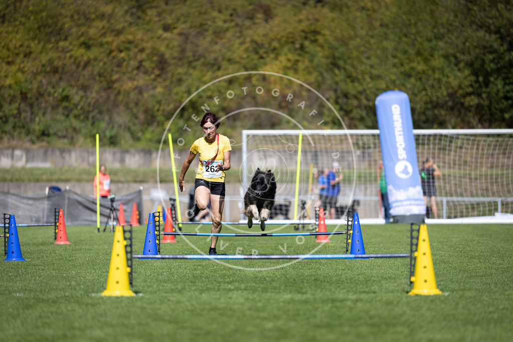 Pfotenfotografie_DV3A6526 | Hundefotografie, Tierfotograf, Pfotenfotografie, Fotoshooting Hund, Hunde Portrait, Hundesport, Hundeportraits, Heideshooting, Hunde, Sportfotograf, Hundefotograf, Turnierhundsport, THS,  - Realisiert mit Pictrs.com