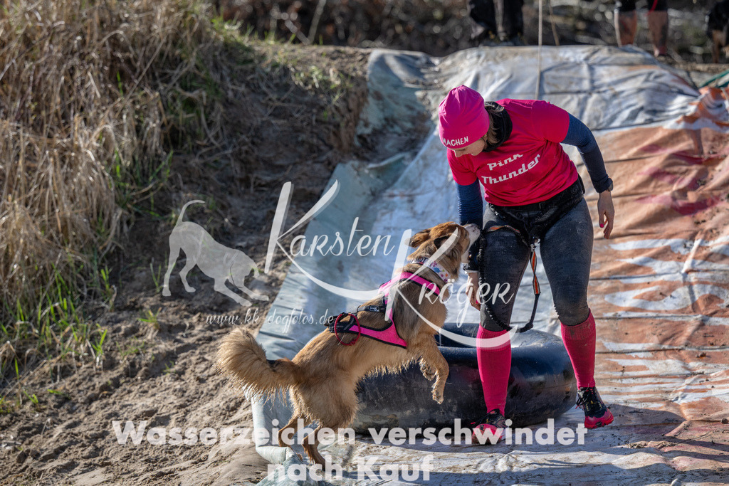 1505_ZZ90984 | kk-dogfotos
