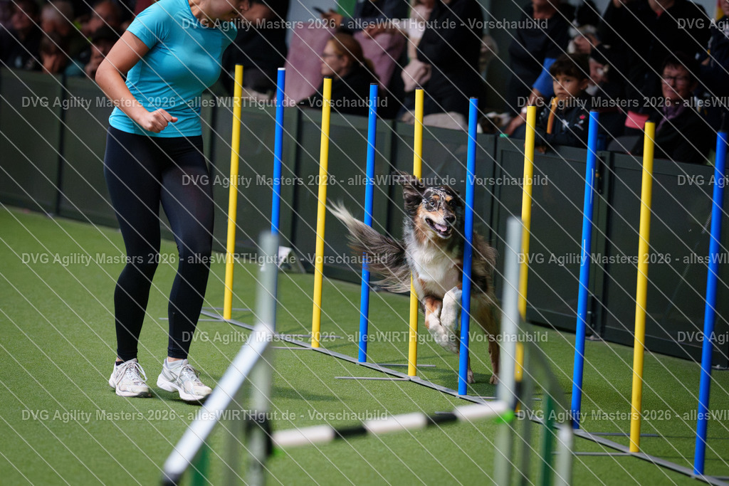 allesWIRTHgut_Tierfotografie-DVG_Agility_Masters_2026-09_26-7R501708 | Professionelle Tierfotografie in Mönchengladbach von Daniel Wirth (allesWIRTHgut). Liebevolle & natürliche Bilder von Hunden & Katzen für unvergessliche Erinnerungen.