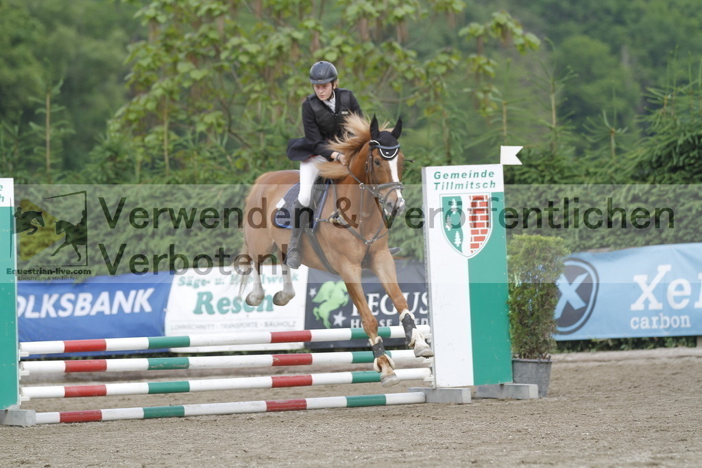 _MG_4255 | equestrian-live-com