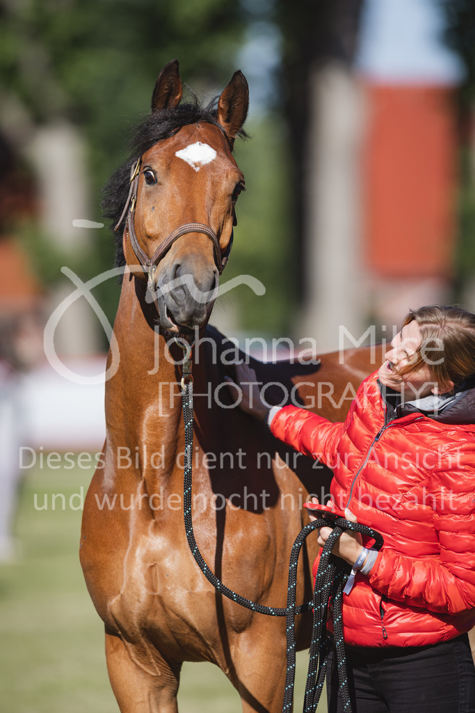 220603_CSI-Wohlde_Chillen-17 | CSI** Wohlde
Chill Out Area
03.06.2022