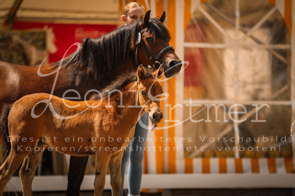 02.DoSR00063 | Leoni Ertmer Photography - Realisiert mit Pictrs.com