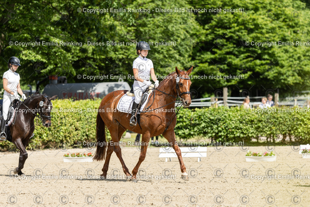 CL5A0622 | Emilia Reinking Fotografie - Realisiert mit Pictrs.com