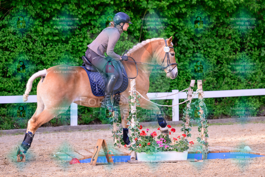 02052026-Giesenbach-03-Speedtrail-0838 | Fokus Hufschlag Fotografie - Realisiert mit Pictrs.com