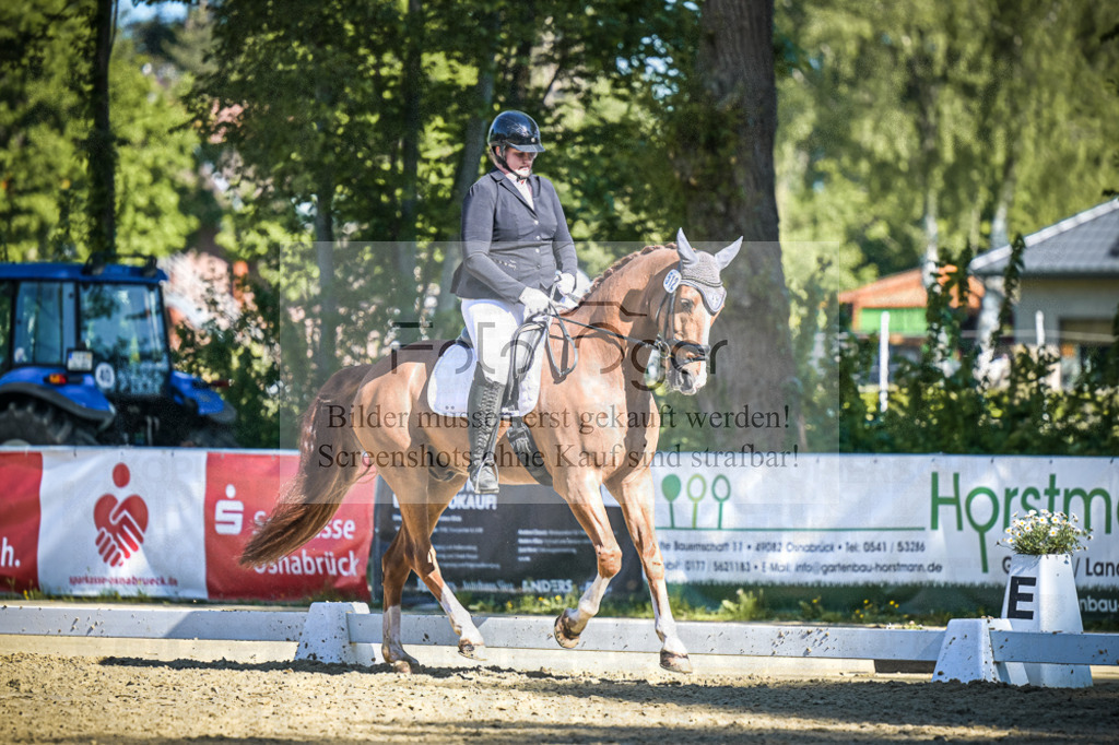 DOS_6645 | Entdecke hochwertige Reitturnierfotos von Foto Oger. Professionell, emotional und authentisch – jetzt Lieblingsmomente im Shop bestellen.Deutschlandweite Turnierfotografie. - Realisiert mit Pictrs.com