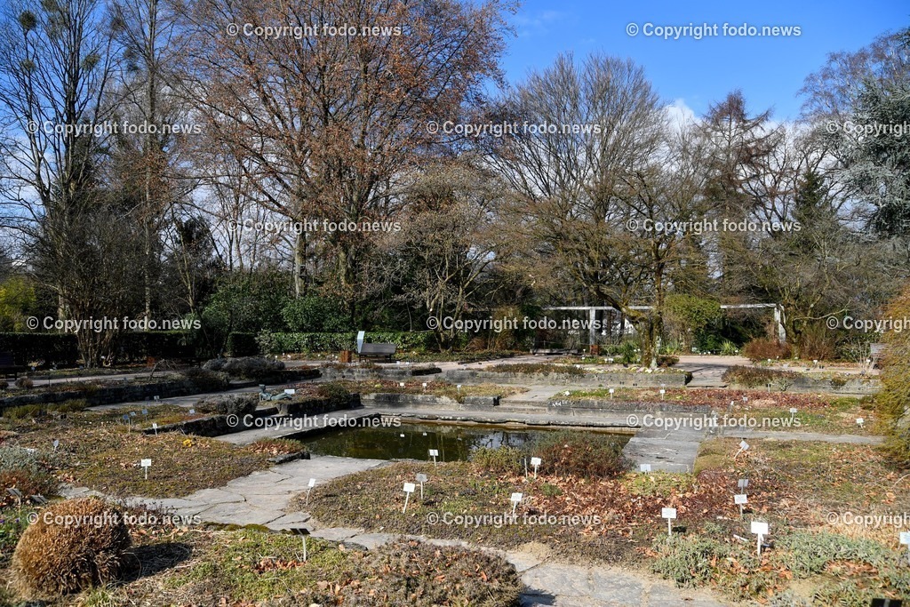 Botanischer Garten_ Friedrich Schwarz_ 08.03.2022-19 | 08.03.2022, Linz, AUT, Botanischer Garten Linz, im Bild Senkgarten, Zierstauden