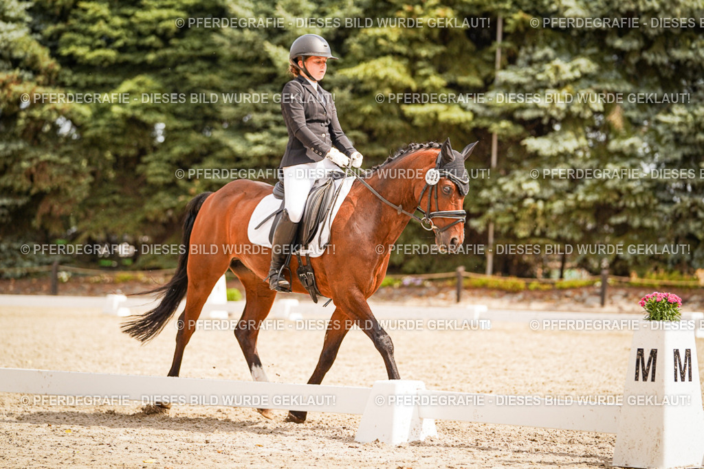 DSC01898 | Pferdegrafie