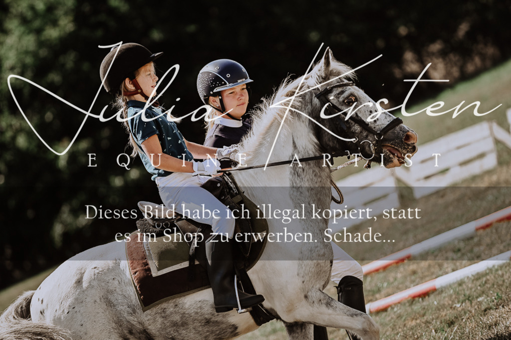 DSC_7946 | Pferde- und Turnierfotografie in Westsachsen. Pferdeportraits, Auftragszeichnungen und intuitive Kunst.