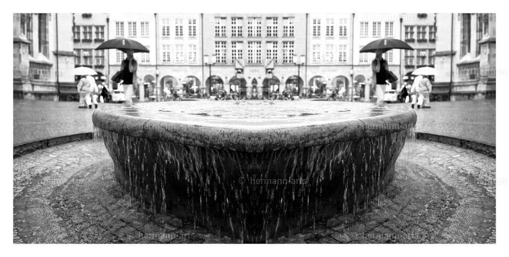 Hermann-Arts_Spiegelbilder_075 | Photo Foto Kunst Art schwarzweiss Bilder Rheine Münster Berlin Blumen 